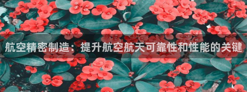 彩神vll首页：航空精密制造：提升航空航天可靠性和性能的关键