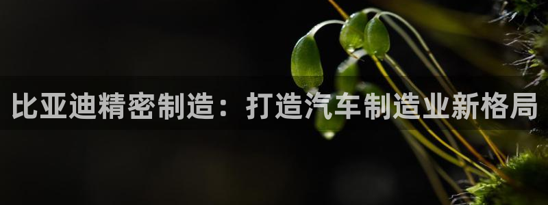 大发彩神官网下载：比亚迪精密制造：打造汽车制造业新格局