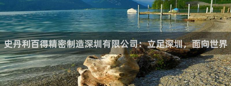 彩神v争霸是啥：史丹利百得精密制造深圳有限公司：立足深圳，面向世界