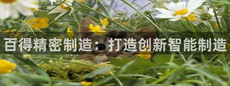 彩神广告有限公司：百得精密制造：打造创新智能制造