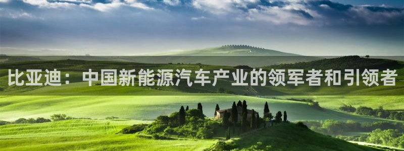 彩神vlll官网网上购彩：比亚迪：中国新能源汽车产业的领军者和引领者