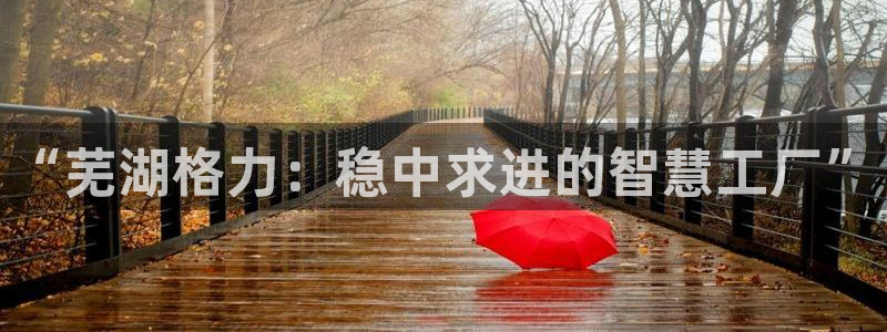 彩神是正规平台吗是真的吗：“芜湖格力：稳中求进的智慧工厂”