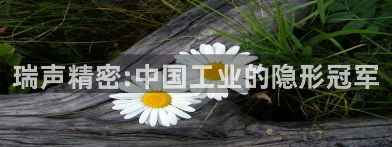 彩神ii官方网：瑞声精密:中国工业的隐形冠军