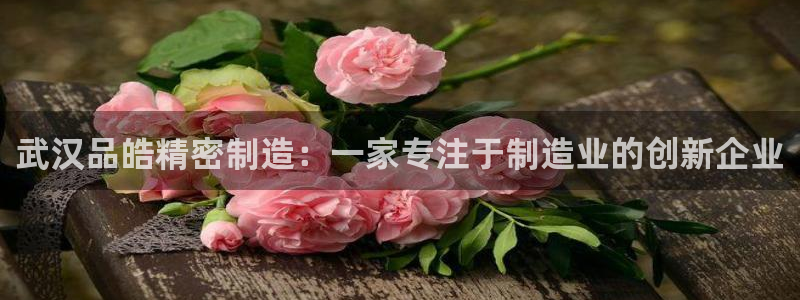 彩神赢的钱是哪里来的啊：武汉品皓精密制造：一家专注于制造业的创新企业