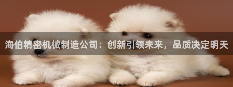 彩神购彩购彩大厅入口v：海伯精密机械制造公司：创新引领未来，品质决定明天