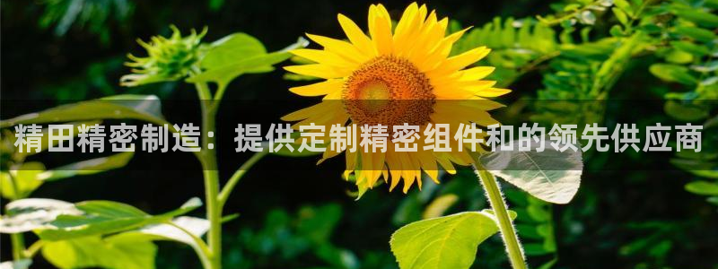 下载彩神v8：精田精密制造：提供定制精密组件和的领先供应商