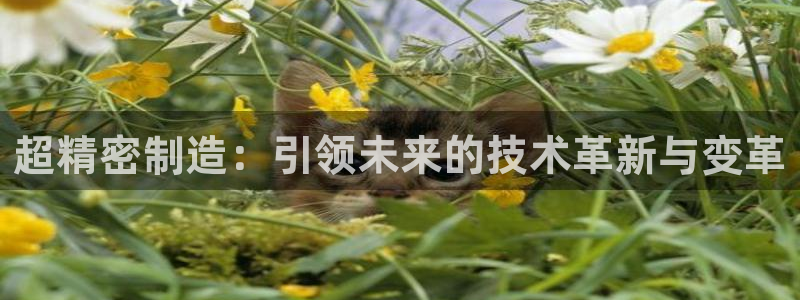 彩神客服电话：超精密制造：引领未来的技术革新与变革