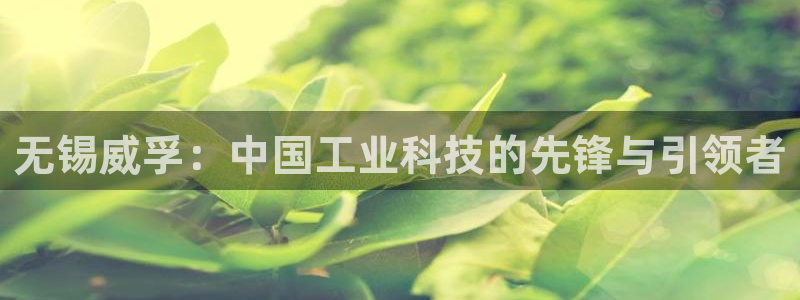 彩神v8客户端：无锡威孚：中国工业科技的先锋与引领者