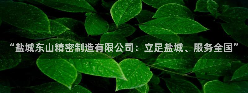 彩神vip购彩：“盐城东山精密制造有限公司：立足盐城、服务全国”