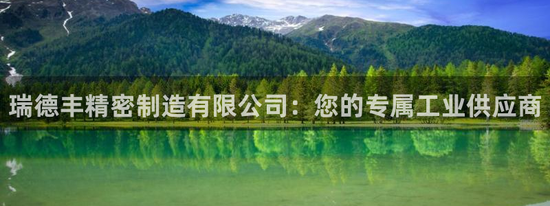 彩神vii官网大赢家：瑞德丰精密制造有限公司：您的专属工业供应商