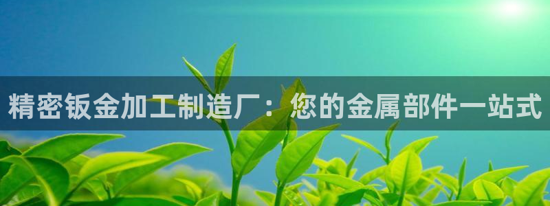 彩神争霸官方下载2017：精密钣金加工制造厂：您的金属部件一站式