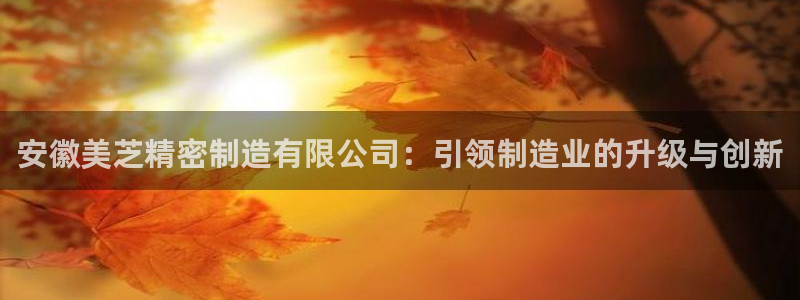 彩神 好 平台：安徽美芝精密制造有限公司：引领制造业的升级与创新