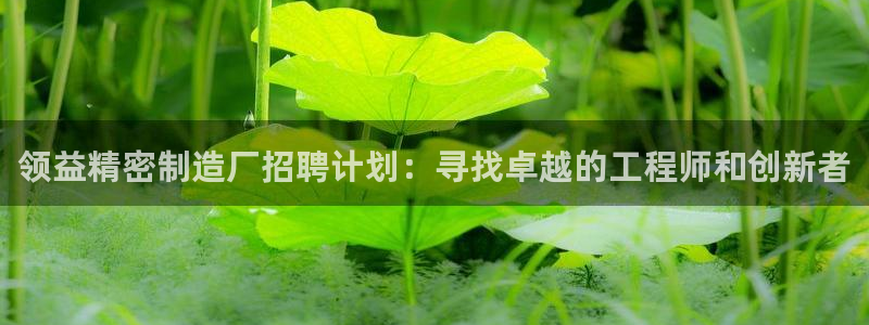 彩神V集团公司：领益精密制造厂招聘计划：寻找卓越的工程师和创新者
