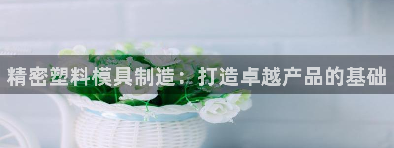 所有彩神购买首页都一样吗：精密塑料模具制造：打造卓越产品的基础