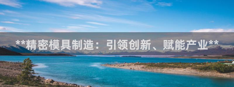 新版彩神v8登录不了：**精密模具制造：引领创新、赋能产业**