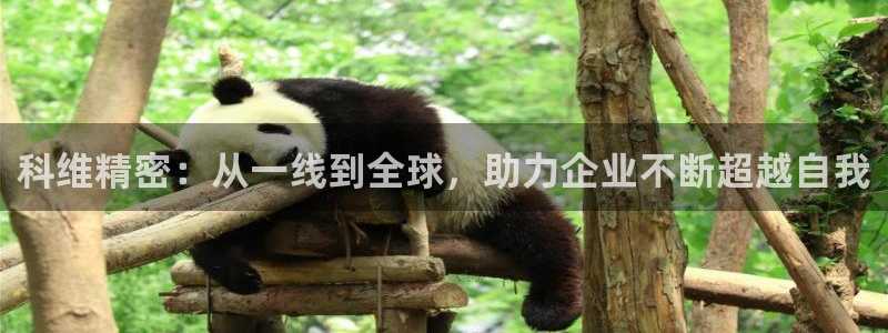 彩神旗下有哪些平台可以玩：科维精密：从一线到全球，助力企业不断超越自我