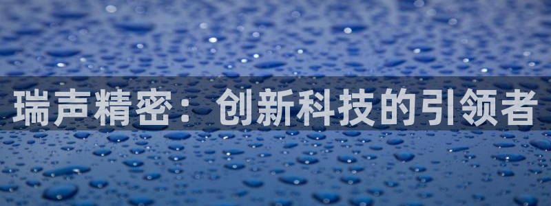 彩神8软件下载：瑞声精密：创新科技的引领者