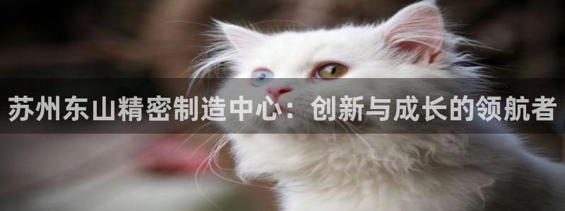 彩神 好 平台：苏州东山精密制造中心：创新与成长的领航者