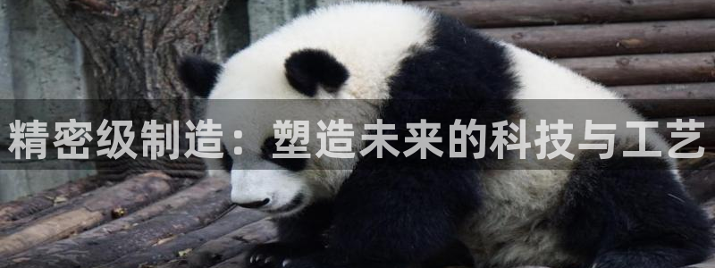 彩神v彩搜狗：精密级制造：塑造未来的科技与工艺