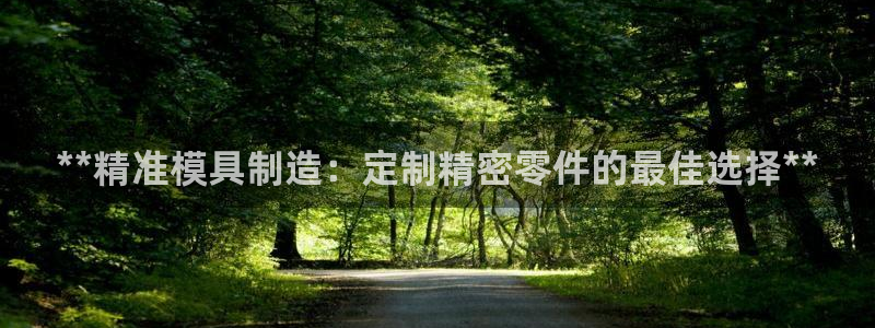 彩神大发是不是人为操作：**精准模具制造：定制精密零件的最佳选择**