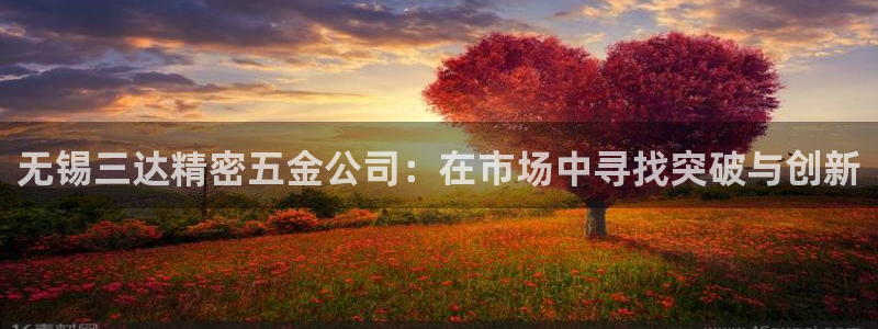 下载彩神通关注码：无锡三达精密五金公司：在市场中寻找突破与创新