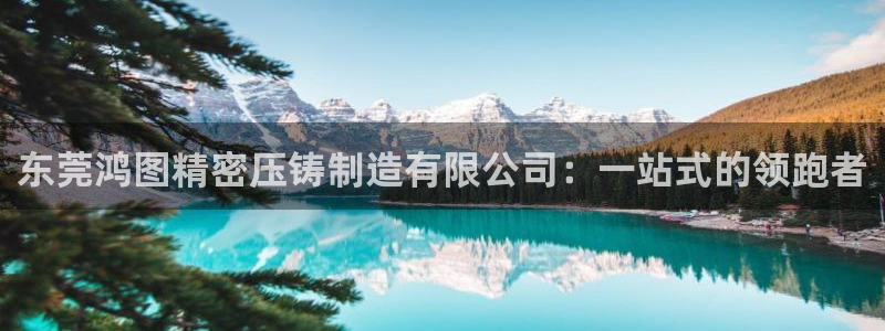 彩神v违法么：东莞鸿图精密压铸制造有限公司：一站式的领跑者