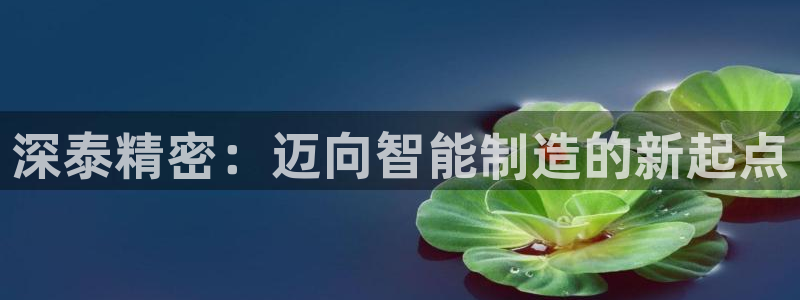 彩神大发如何观察走势：深泰精密：迈向智能制造的新起点