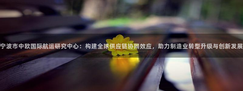 彩神V集团公司：宁波市中欧国际航运研究中心：构建全球供应链协同效应，助力制造业转型升级与创新发展