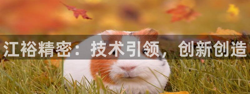 彩神vl购彩大厅：江裕精密：技术引领，创新创造