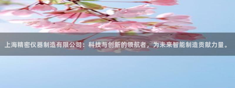 彩神v8官网版：上海精密仪器制造有限公司：科技与创新的领航者，为未来智能制造贡献力量。