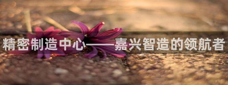 彩神v8首页：精密制造中心——嘉兴智造的领航者