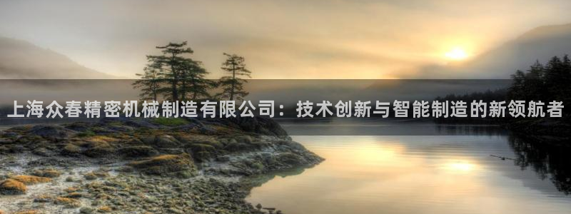 所有彩神购买首页：上海众春精密机械制造有限公司：技术创新与智能制造的新领航者
