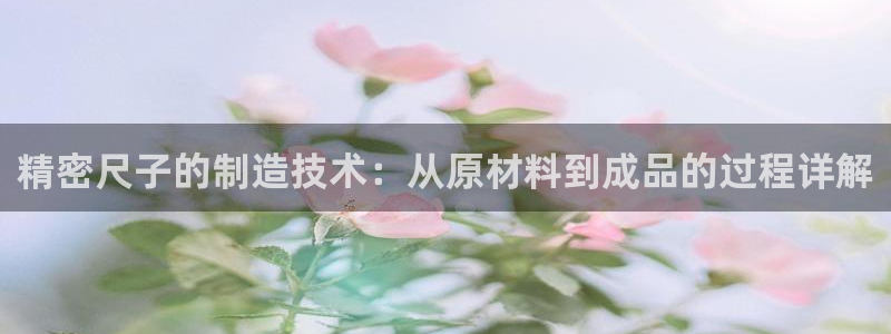 彩神骗局：精密尺子的制造技术：从原材料到成品的过程详解