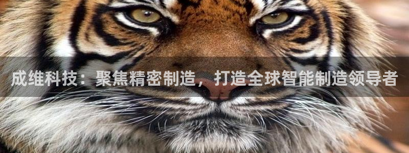 彩神趣购彩用户注册：成维科技：聚焦精密制造，打造全球智能制造领导者