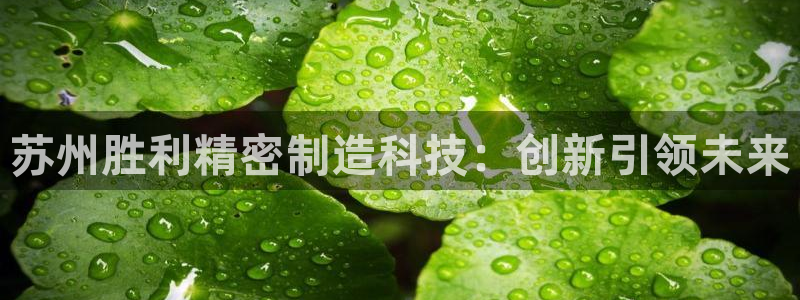 彩神app能挣到钱吗：苏州胜利精密制造科技：创新引领未来