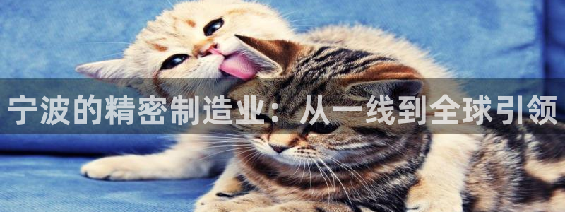 彩神Vll：宁波的精