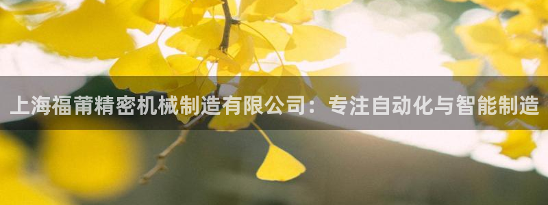 彩神购彩-购彩大厅入口500：上海福莆精密机械制造有限公司：专注自动化与智能制造
