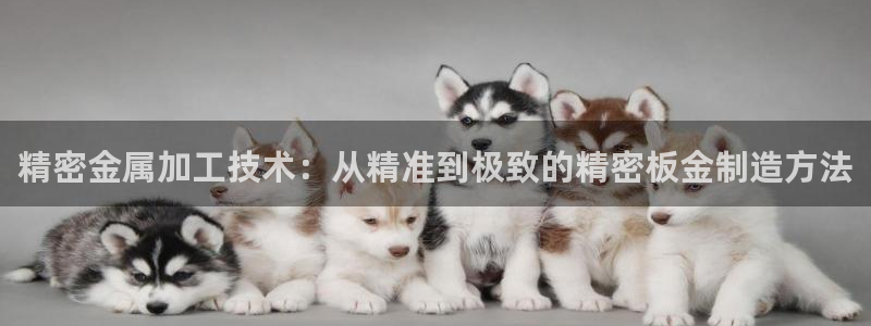 彩神8彩平台：精密金