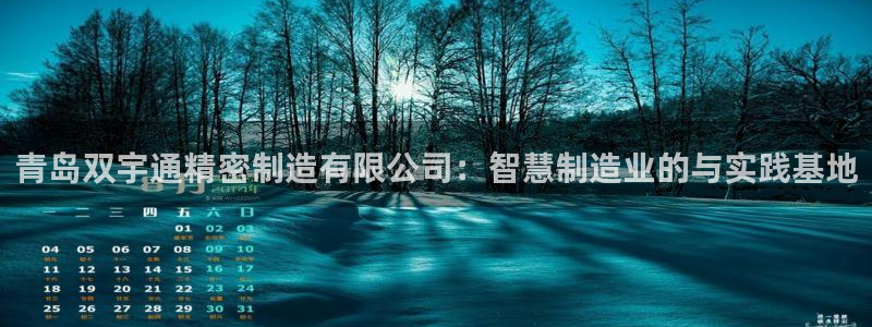 彩神8软件下载：青岛双宇通精密制造有限公司：智慧制造业的与实践基地