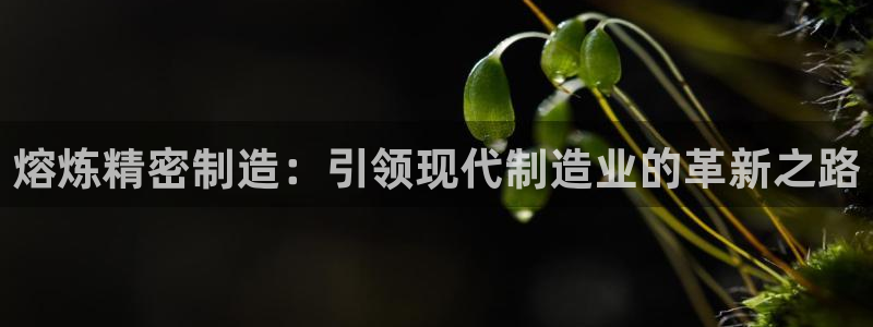 彩神vllⅰ购彩大厅：熔炼精密制造：引领现代制造业的革新之路