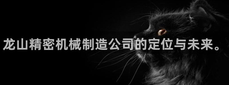 彩神官方登录：龙山精密机械制造公司的定位与未来。