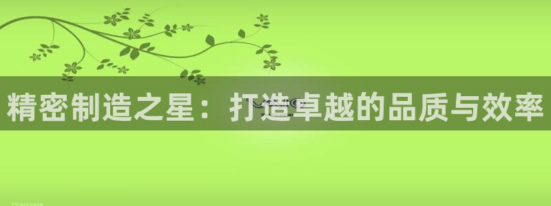 彩神v8平台正规吗：精密制造之星：打造卓越的品质与效率