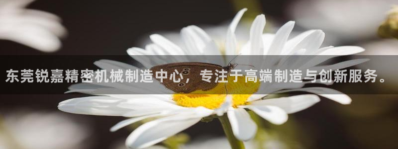 彩神大发官网：东莞锐嘉精密机械制造中心，专注于高端制造与创新服务。