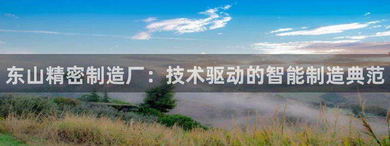 彩神赢了钱登录不上去：东山精密制造厂：技术驱动的智能制造典范