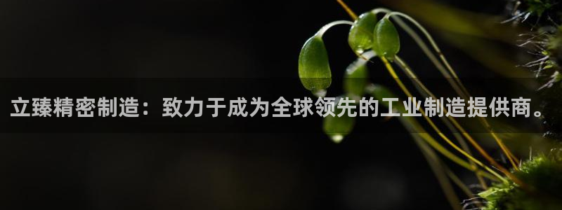 彩神v8iii：立臻精密制造：致力于成为全球领先的工业制造提供商。