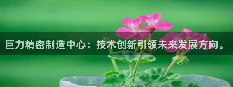 彩神v8手机客户端下载：巨力精密制造中心：技术创新引领未来发展方向。