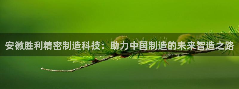 所有彩神购买首页中心：安徽胜利精密制造科技：助力中国制造的未来智造之路