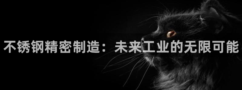彩神vip购彩大厅在哪：不锈钢精密制造：未来工业的无限可能