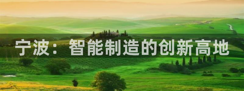 彩神vll购彩大厅大众：宁波：智能制造的创新高地