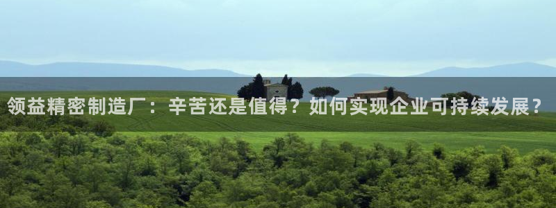 彩神v8手机客户端在哪：领益精密制造厂：辛苦还是值得？如何实现企业可持续发展？